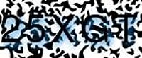 grafischer Sicherheitscode