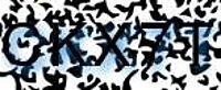 grafischer Sicherheitscode