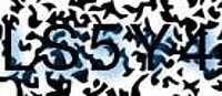 grafischer Sicherheitscode